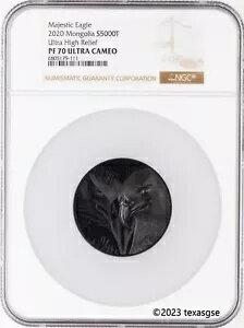 2020 󥴥 5000T ޥƥå  5  .999 С ֥å ץ롼  NGC PF70