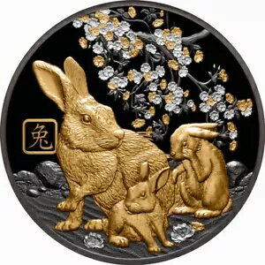2023 ǯ ӥå $10 5  С å ֥å ץ롼  ? ꥢ # 18