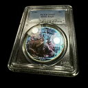 1990 シルバー イーグル PCGS BU MS67 トーン カラー ~ レア ビビッド ブルー モンスター トーニング