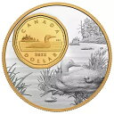 2022 カナダ 5 オンス 1 ドル純銀貨の全体像: アビ