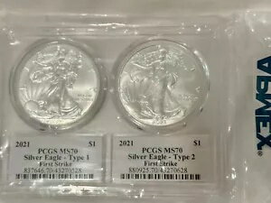 *新しい 2021 タイプ 1 およびタイプ 2