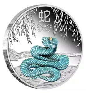 2025 ɥ 1 ǯ͡ 顼 1  С ץ롼  - ߸ˤꡢѡ¤ʾ!