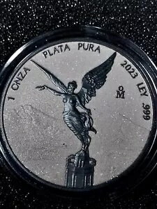 LIBERTAD   & ֥å ץ 1  С  ᥭ 2023