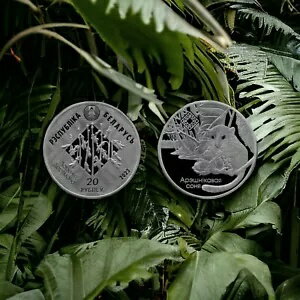 ベラルーシ 20 ルーブル 2023 スヴィチャジャンスキー自然保護区。ヤマネ、銀貨