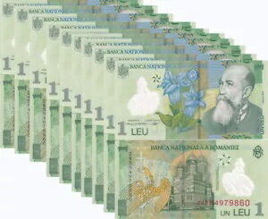 WORLD RESOURCEKINGŹۤ㤨֥롼ޥ˥ 1 쥤 2018/2024 P 117 ݥޡ UNC å 10 ġפβǤʤ52,800ߤˤʤޤ