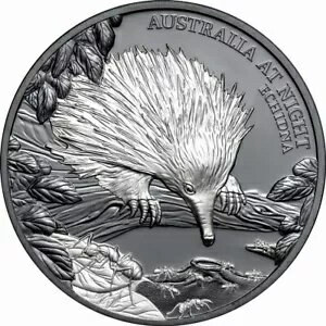 ˥ 2020 ECHIDNA ȥꥢ ʥ ꥯ $1 С ֥å PRF ? ꥢ #25