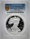 2020 W PCGS PR69DCAM 第二次世界大戦 V75 プライベート アメリカン プルーフ シルバー イーグル .999 コイン