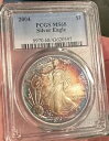 2004 $1 トーン シルバー イーグル PCGS MS68 1 ドル トナー モンスター トーン
