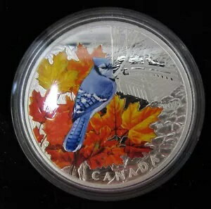 2021 カナダ $20 カナダの銀色のカラフルな鳥 - アオカケス