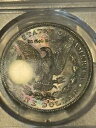 1880-S $1 モーガン シルバー ダラー MS63 PCGS #38830891 ゴールド シールド モンスター トナー