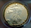 アメリカン シルバー イーグル 1999 ANACS MS 66++++++ モンスター ターゲット レインボー クール コイン