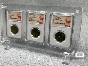 10 x 3 スロット NGC/PCGS スラブ コイン用のアクリル ディスプレイ フレーム ケース ボックス