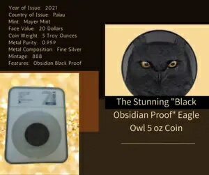2021 ϥ󥿡 Х ʥ  ե ֥ǥ ֥å ץ롼 5  С  PF70 +ܡ...