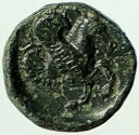 ミシアのランプサコス 紀元前 400 〜 200 年 古代の古いギリシャのコイン FEMALE & PEGASUS i104404