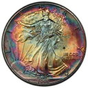 1995 アメリカン シルバー イーグル PCGS MS64 レインボー トーン フルカラー両面