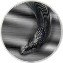 ZEBRA 自然迷彩 3 オンス シルバー コイン 20$ パラオ 2023