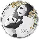 銀貨 1kg チャイナパンダ 2023 -ケース入り-研磨プレート-