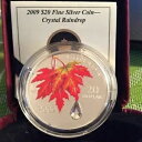 2009 カナダ クリスタル レインドロップ 20 ドル純銀貨