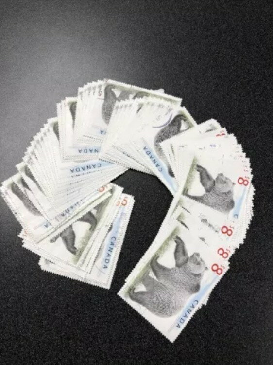 WORLD RESOURCEKINGŹۤ㤨֥ʥ ͥꥺ꡼٥ڼ  - ˾ - 70祻åȡפβǤʤ103,400ߤˤʤޤ