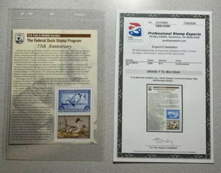 WTDstamps - #RW75C 2008 - フェデラルダック切手 - ミント OG NH **PSE 70**