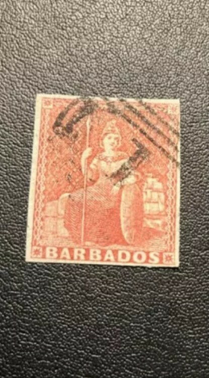 バルバドス スコット #4 中古