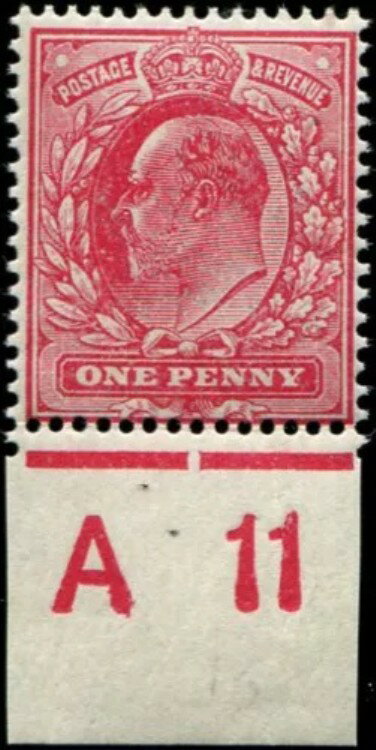 1d SG 281 品種、「カーマイン」、コントロール「A11」U/M、中心がよく揃った新鮮な...