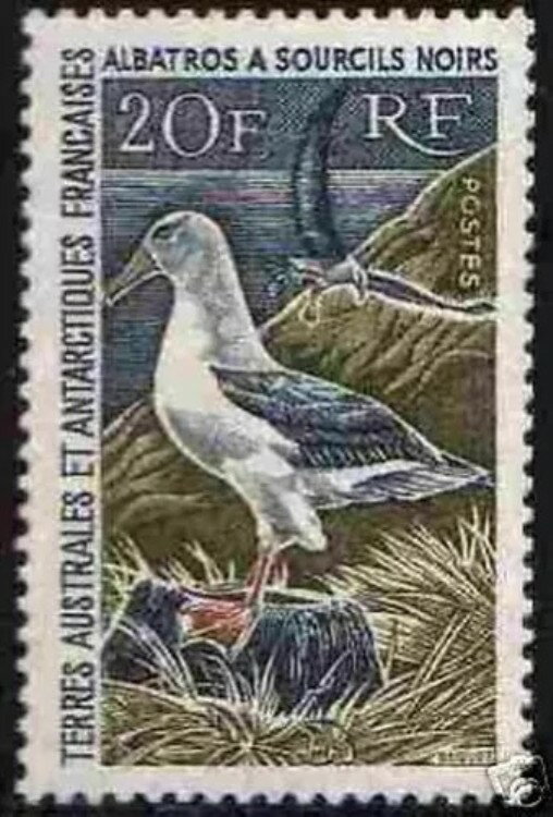 ランドサザンY&t 24 "ラルバトロス1968" Neufxxsup