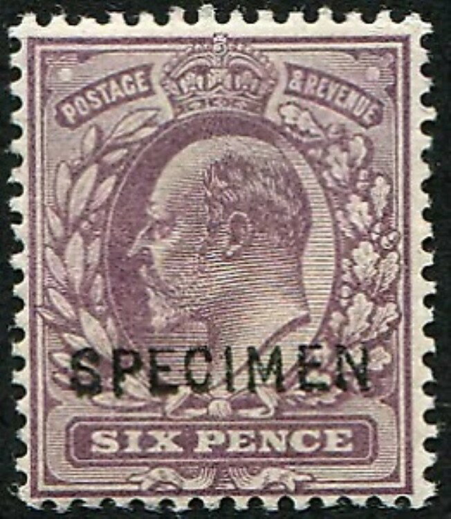 6d SG 245s OVPT「スペシメン」タイプ15、M/M。非常に良好な新品L/M。(スペックM31/2.s) ...