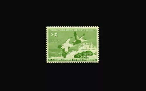 USA フェデラルダック切手 - ミント OG&H、XF スーパー b S#RW24 ガム/水によるダメージあり