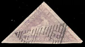 MOMEN: ס֡åɥۡ SG #7 ѡ  ?300 å #65667