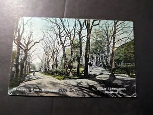 1907年 イギリス領喜望峰、南アフリカ、タスマニア州エレンデール宛の絵葉書表紙