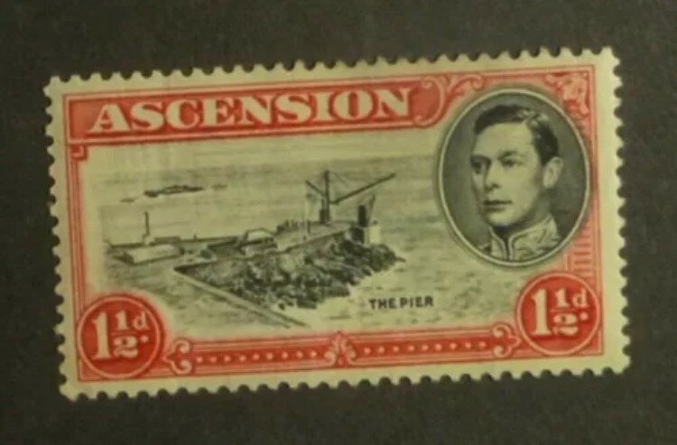 󥷥SG# 40d lt. ȡ˥ MLH IRST24