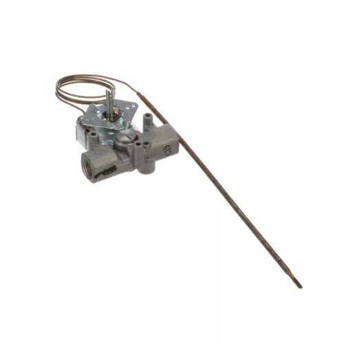 AllPoints 461658 サーモスタット、Gs、3/8インチ Fpt ガス入出力