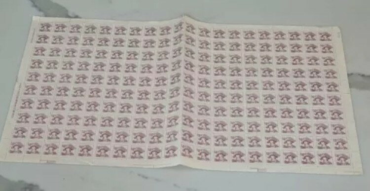 WORLD RESOURCEKINGŹۤ㤨֥ե륷 200祻å ڼ  PRC 50ɥ ϸư ϫƯ SG1580 פβǤʤ182,600ߤˤʤޤ