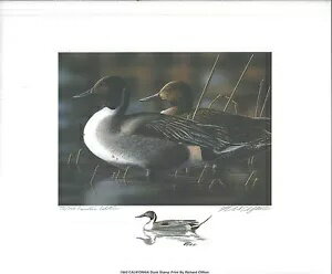 カリフォルニア #23 1993 州立アヒルのプリント リチャード・クリフトン、カラー・レマーク #75/200