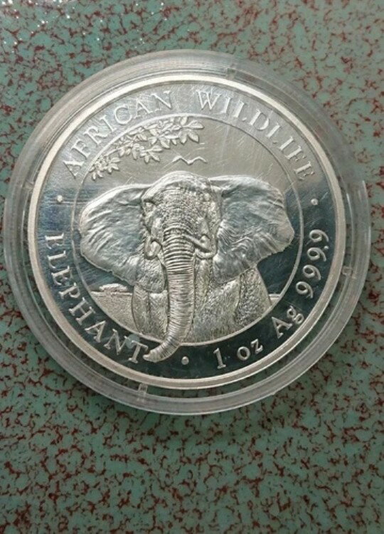 1 С ޥꥢ 2021 եꥫưʪ 100 С 999-