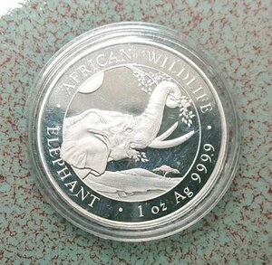 1 С ޥꥢ 2023 եꥫưʪ 100 С 999-