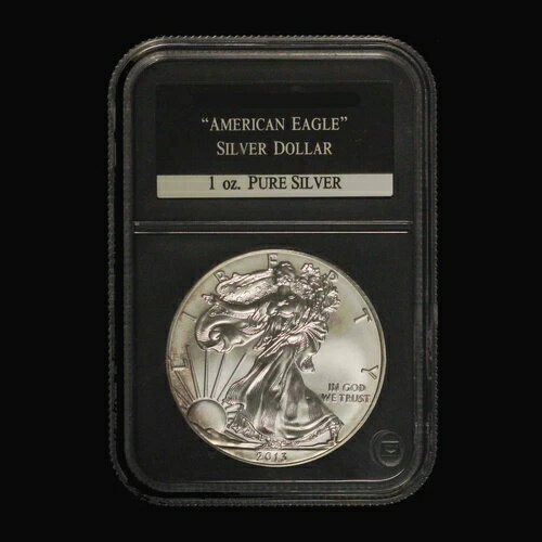 2013年 1オンス アメリカン シルバー イーグル プラスチックホルダー入り - 米国送料無料