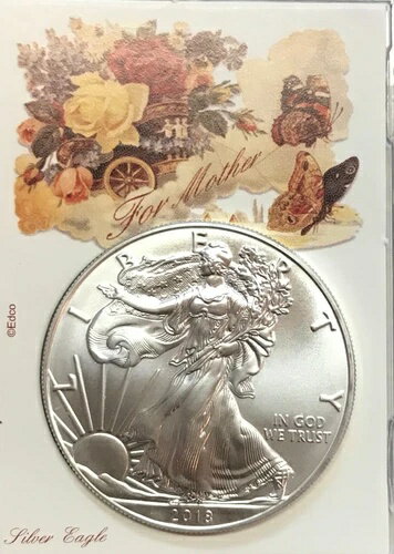 2020ǯץСɥ - 1 ꥫ󥷥С ۥ#3