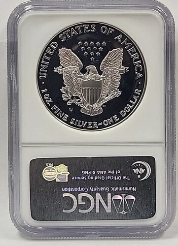 WORLD RESOURCE【KING店】の2001年 Wプルーフ シルバーイーグル NGC PF69 ウルトラカメオ クラシック ブラウンラベル。RM195｜アングル3