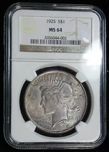 1925年-P 平和ドル / 表面は自然なグレーがかった色調 / NGC MS64 認定