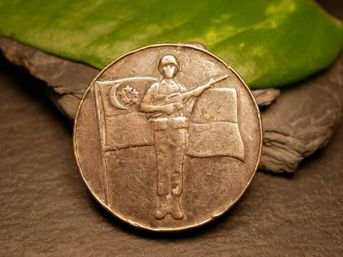 シンガポール軍功績に対するシンガポール銀メダル