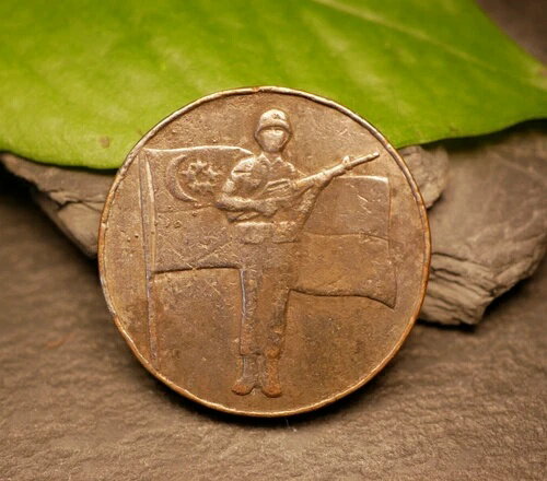 シンガポール軍功績に対するシンガポール銀メダル