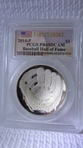 2014年 P シルバーベースボールドル