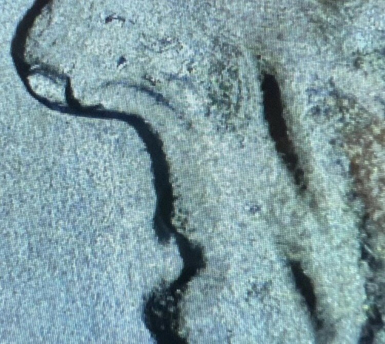 WORLD RESOURCEKINGŹۤ㤨1953ǯ S BU 10 С 롼٥ ֥ХåХˡFS-401 - ֤鷺ʽספβǤʤ79,200ߤˤʤޤ