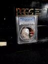 1993-S PCGS PR70DCAM マディソン記念銀貨!eBayで最安値!