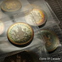 1971年カナダ シルバー 1ドル トーン BCドル - 複数枚あり #coinsofcanada(3)