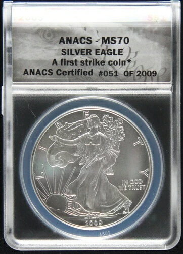2009年 アメリカン シルバー イーグ