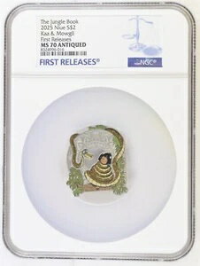 2025ǯ ˥  ǥˡ 󥰥֥å  1  NGC MS70 ꡼