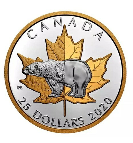 ʥ 25ɥߡޡԥե - 쥹2020ǯȢʤ